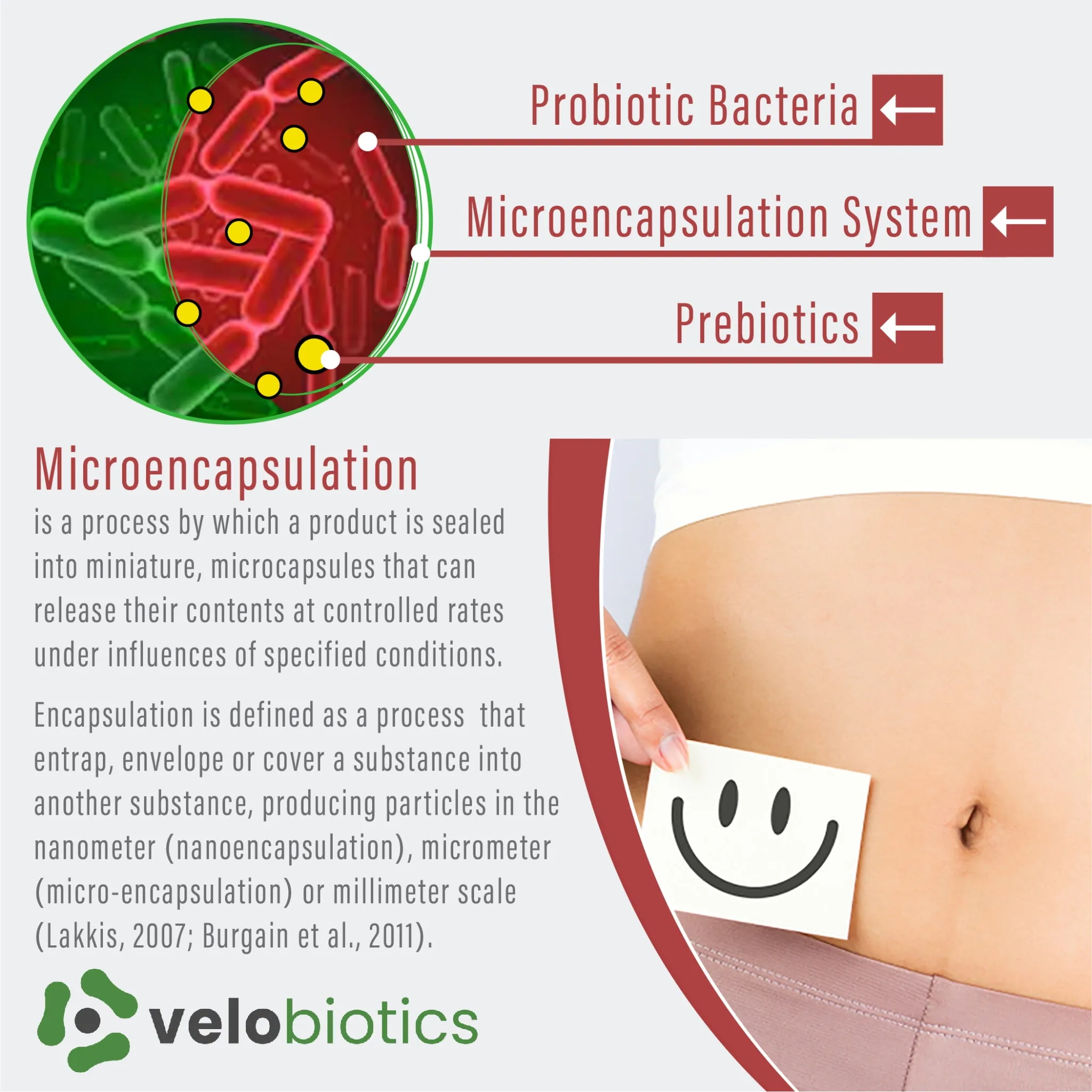 Velo16 Probiotic Digestive Capsules