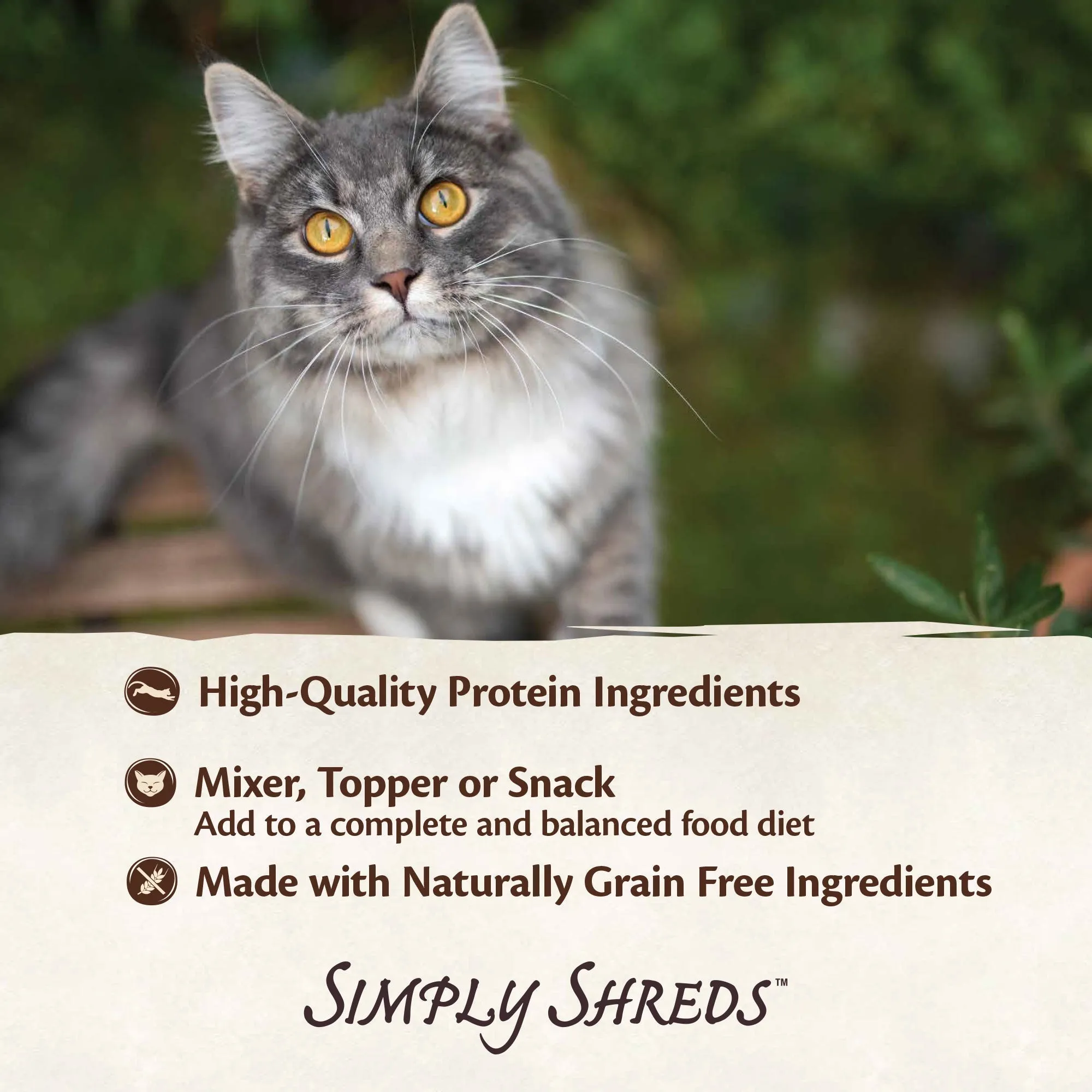 Wellness CORE Simply Shreds Flaked Tuna and Shrimp Recipe Wet Cat Food 50g x 12