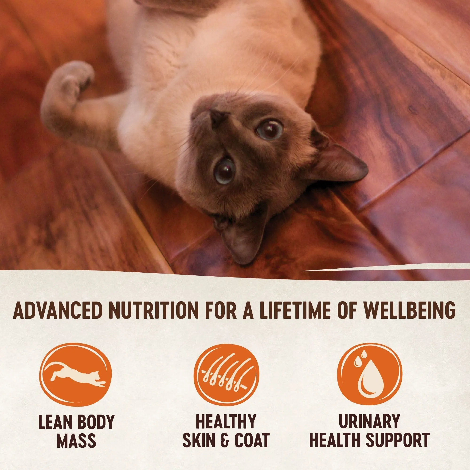 Wellness CORE Simply Shreds Flaked Tuna and Shrimp Recipe Wet Cat Food 50g x 12