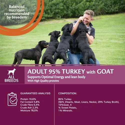 Wellness Core Wet Dog Food Can with 95% Turkey and Goat with Sweet Potato 6 x 400g