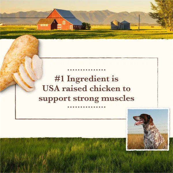 Whole Earth Farms Grain Free Chicken and Turkey Recipe Wet Dog Food, 12.7-oz Case of 12