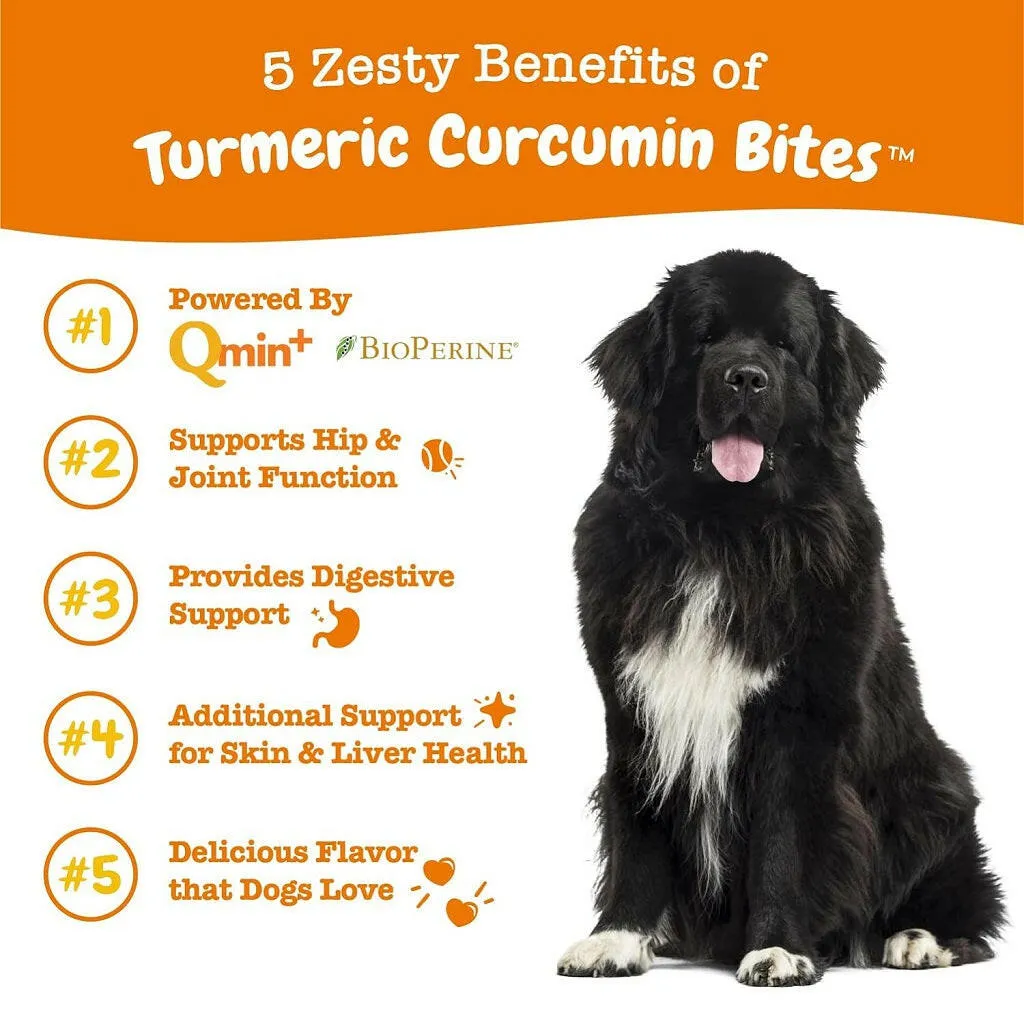 Zesty Paws Turmeric Curcumin Bites Duck Flavored Chews for Dog (90 ct)