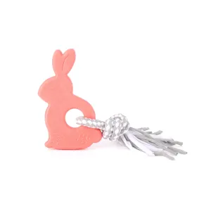 Zippy Paws ZippyTuff Puppy Teetherz