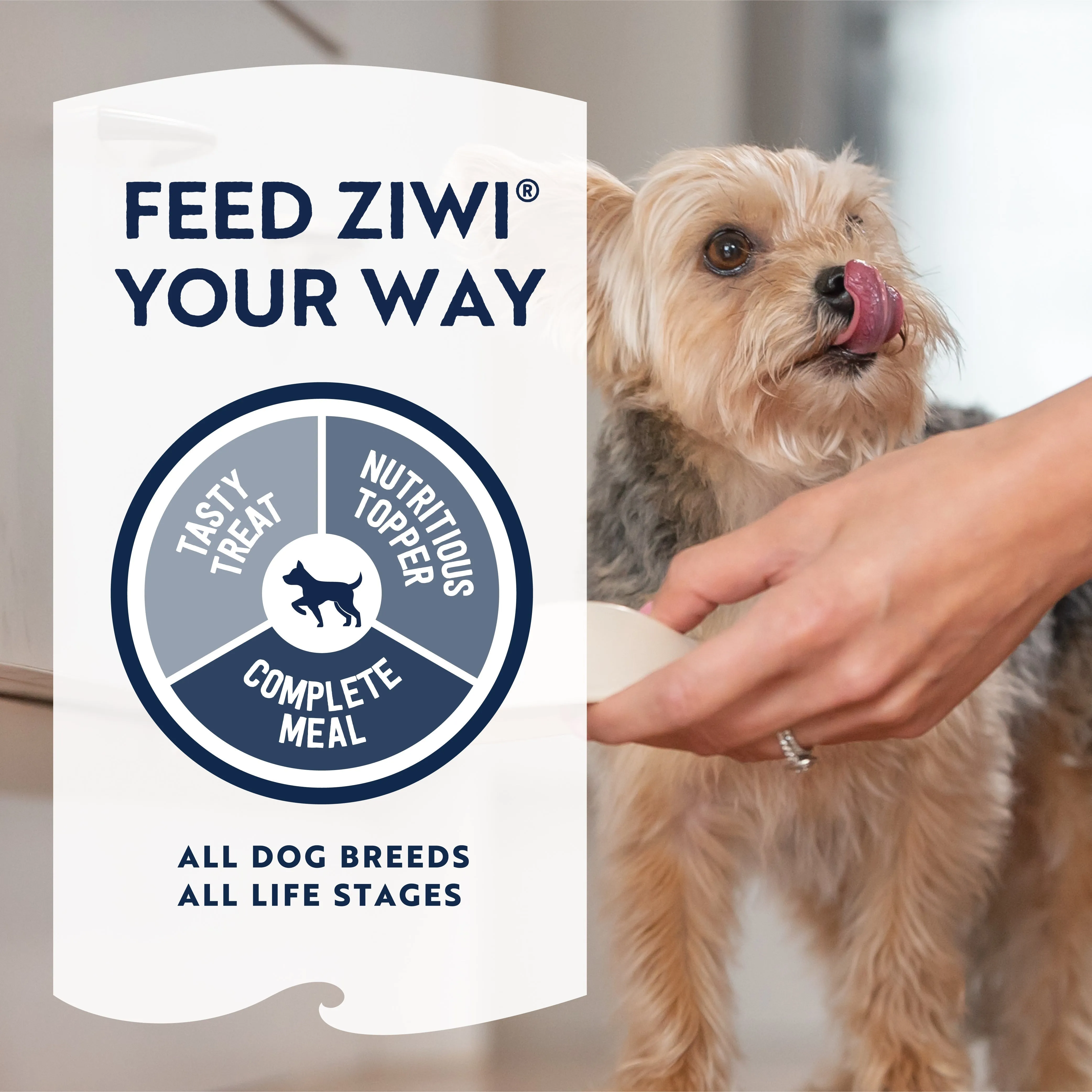 ZIWI Peak Air Dried Beef Recipe Dog Food 4kg